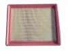 Air Filter:D1109160