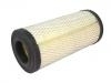 Air Filter:299643A1